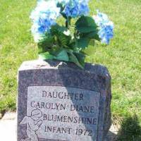 Carolyn Diane BLUMENSHINE